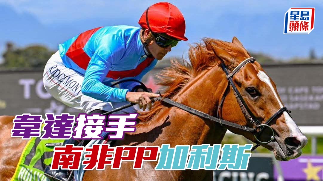 馬場浮世繪｜南非三級賽盟主「加利斯」 運港由韋達訓練