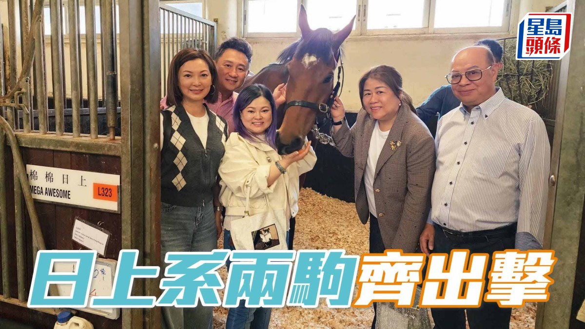日上系兩駒齊出擊