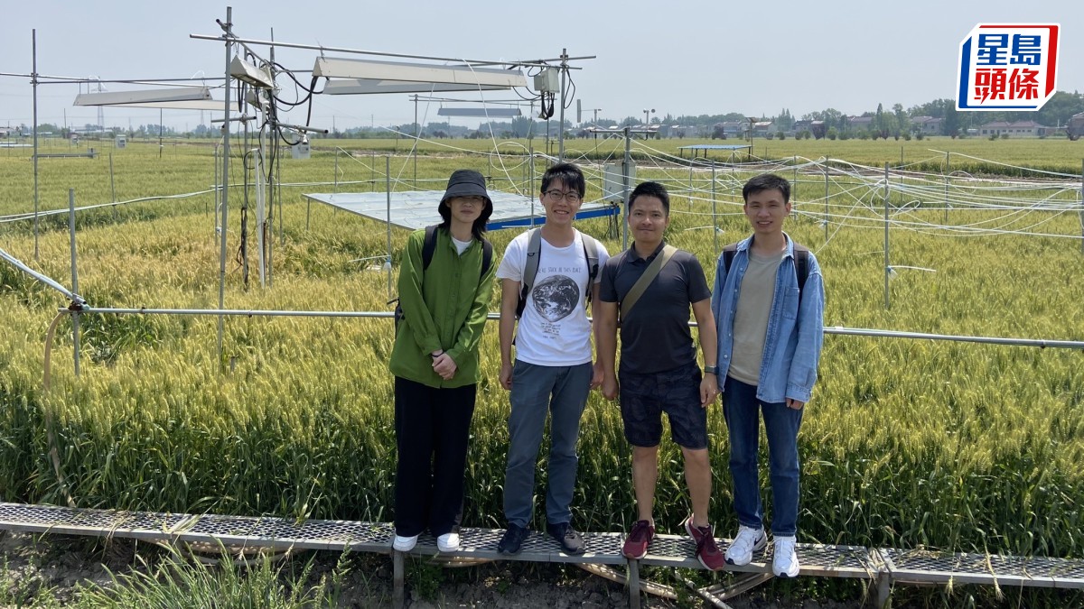 中大研究首次揭示 灌溉助中國升溫減慢