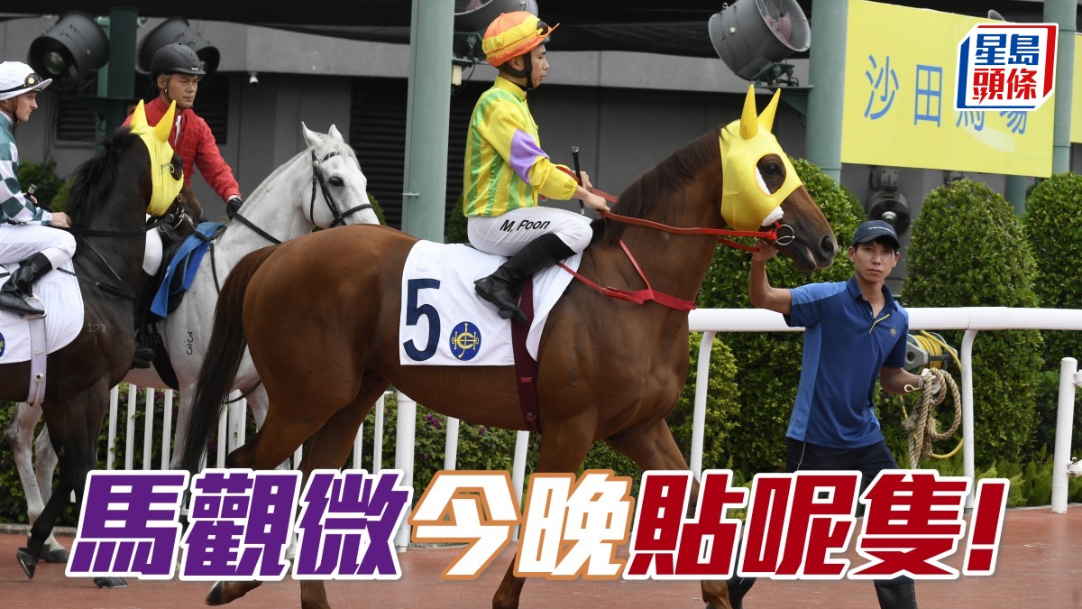 馬觀微全日心水│「知足常樂」復竟全功