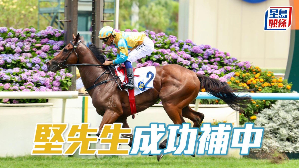 馬場密探048｜「堅先生」成功補中