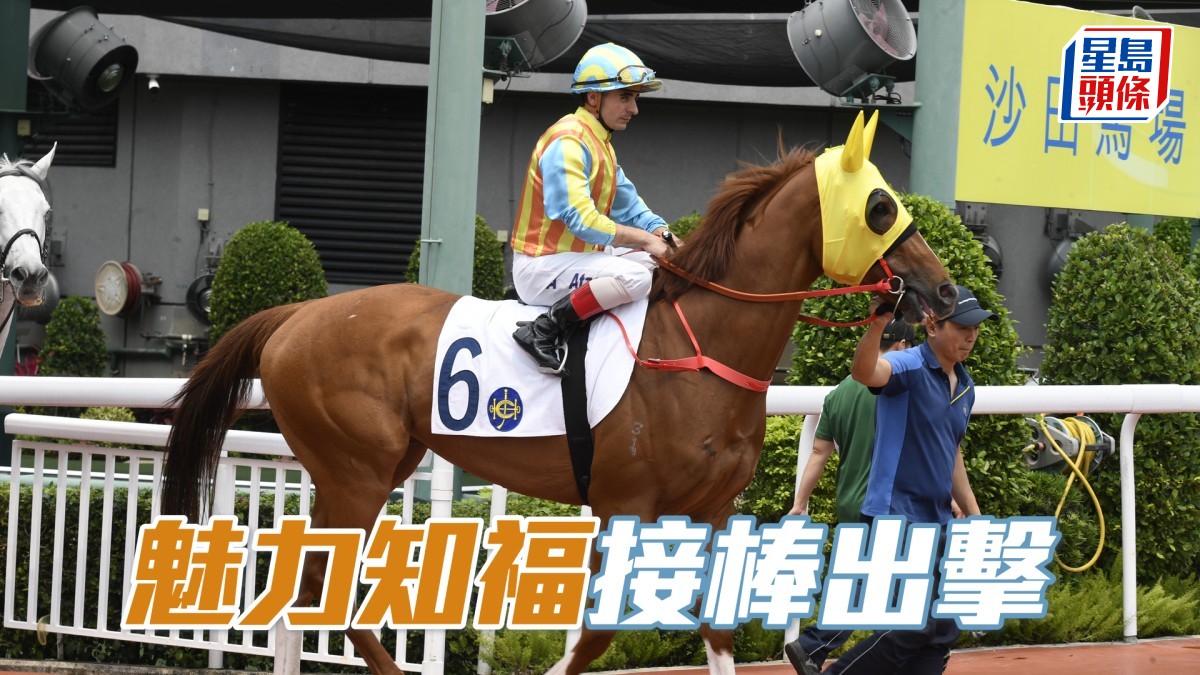 甜甜小記│「魅力知福」接棒出擊