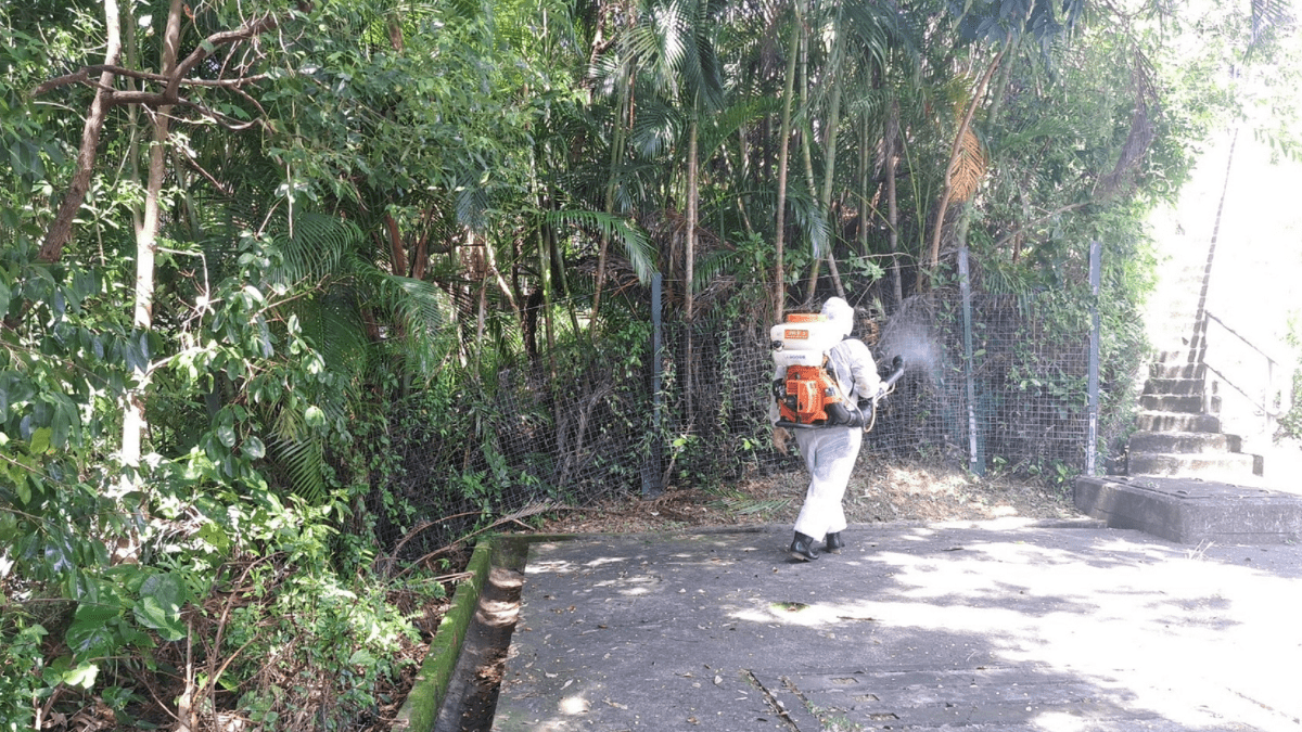 基孔肯雅熱︱食環署公布新一批白紋伊蚊誘蚊器指數 啟德北、馬灣超標
