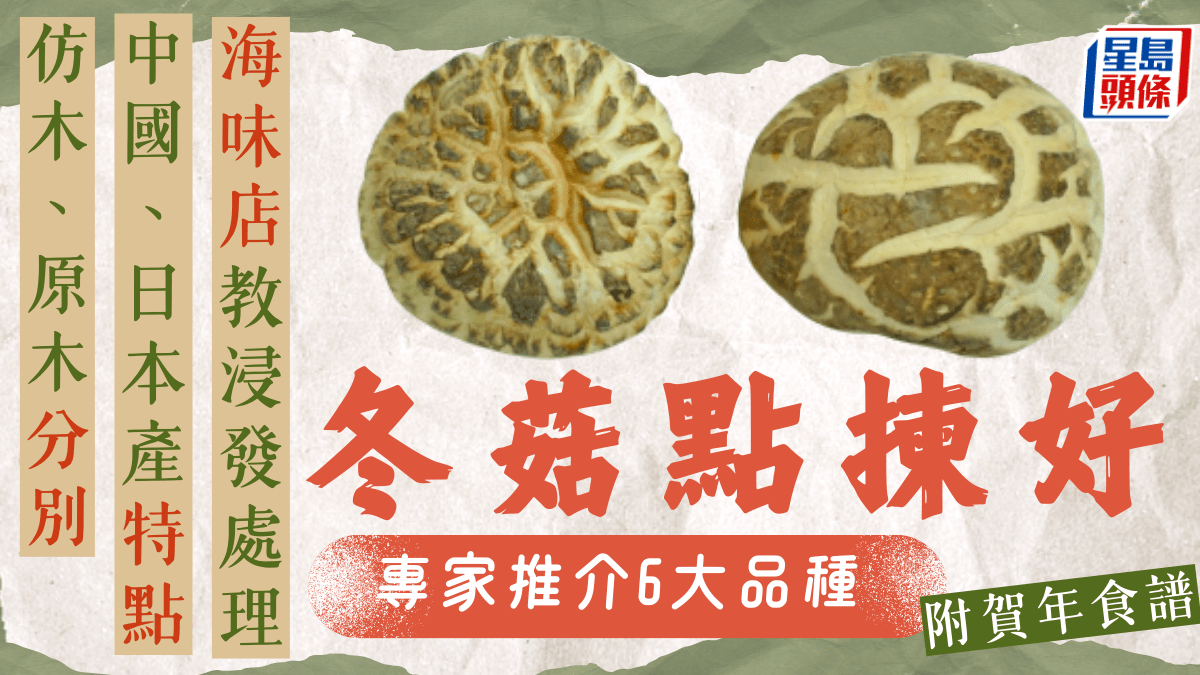 冬菇點揀︱專家推介6款優質日本、中國冬菇 原木菇/仿木菇分別 附處理方法/賀年食譜