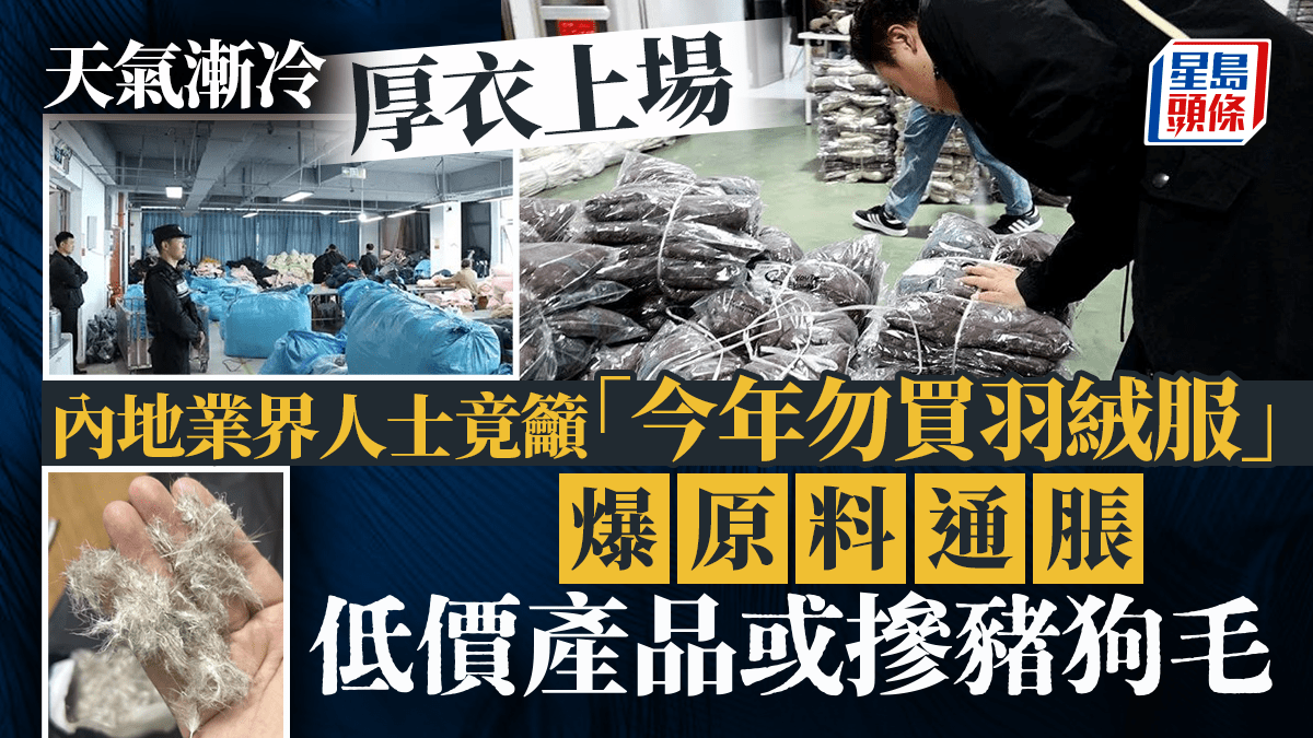 [Image: 20241124_news___si.png]