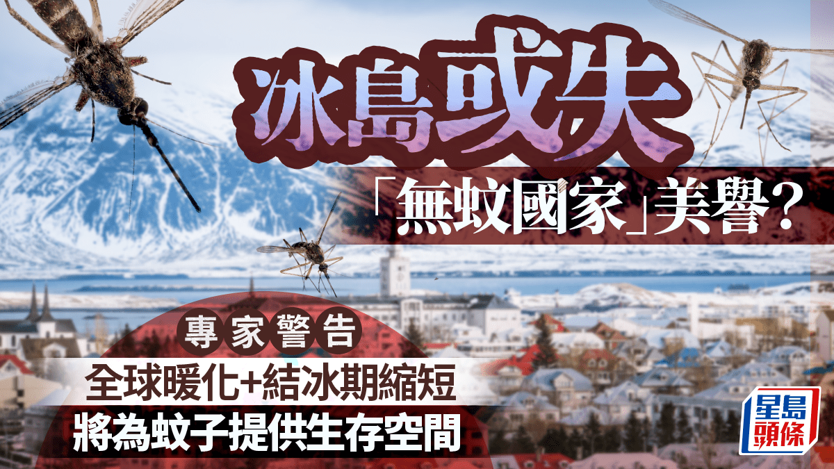 全球暖化|冰島一獨特條件成「無蚊國家」 專家警告未來或失守 (This content only provides in Chinese version)