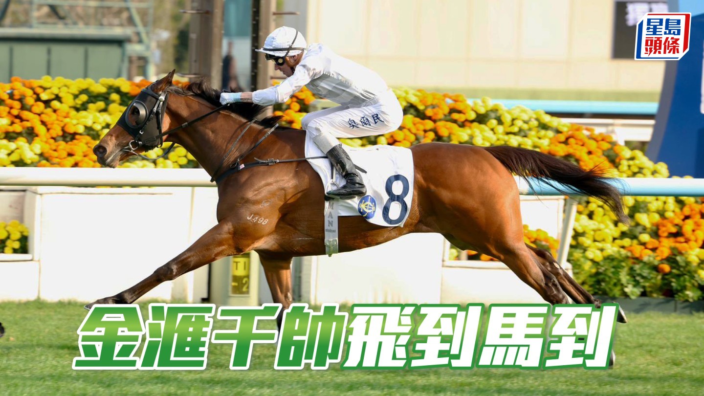 馬場密探048|「金滙千帥」飛到馬到