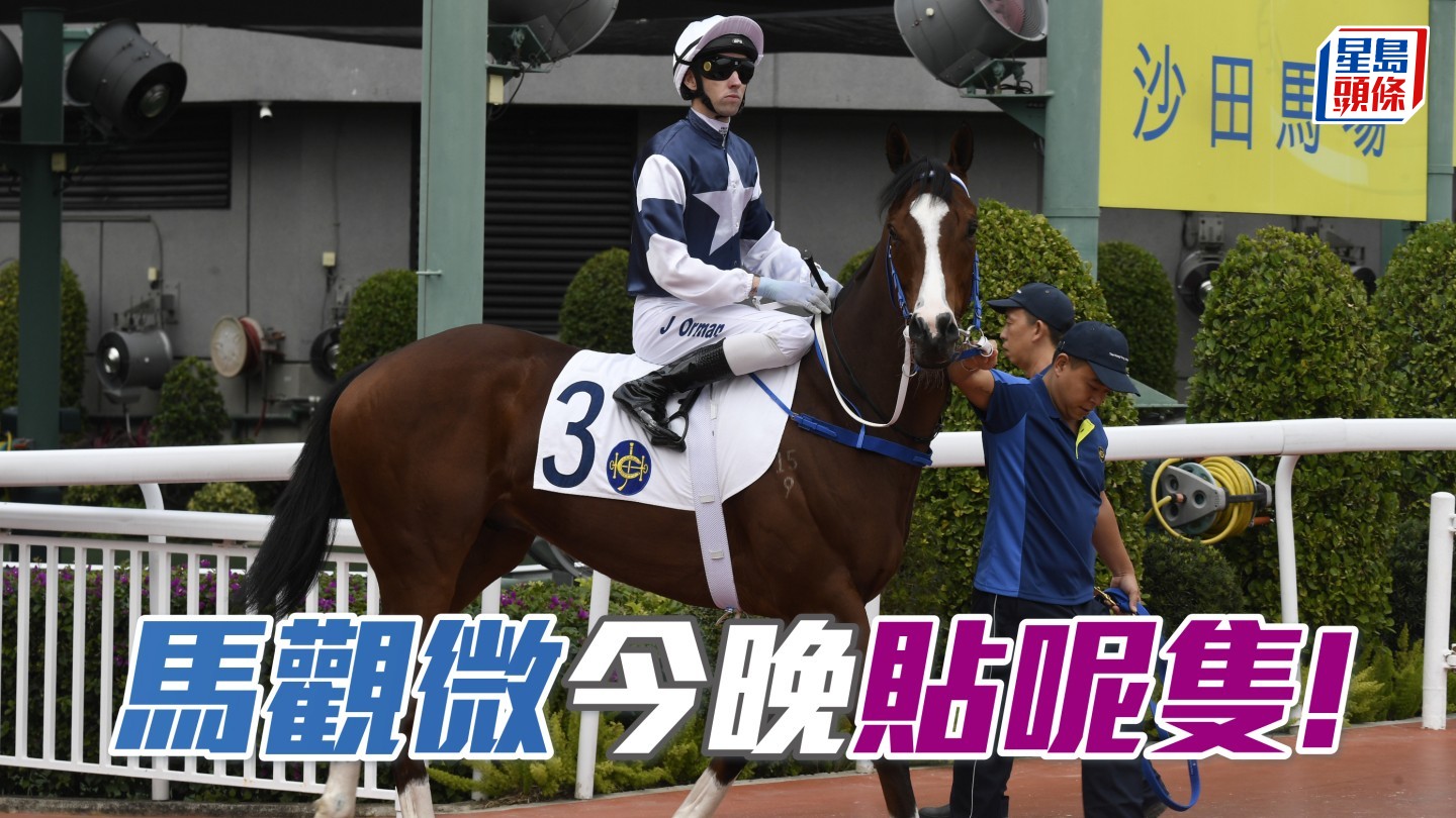 馬觀微全日心水│「星運少爵」為民請命