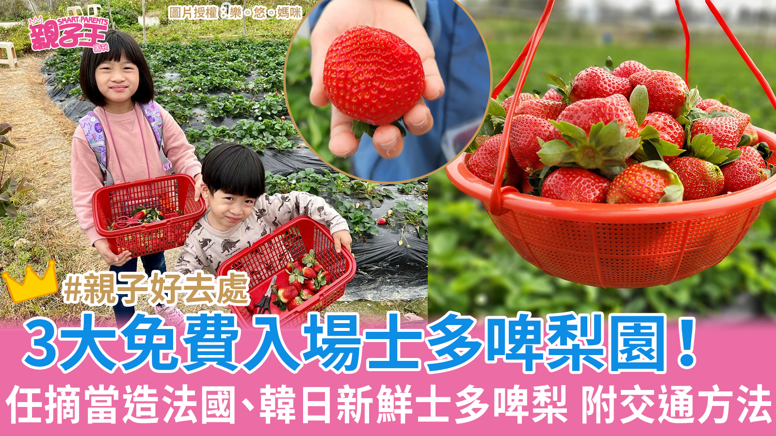 親子好去處2023︳3大免費入場士多啤梨園推介!任摘當造新鮮士多啤梨 附交通方法+詳情