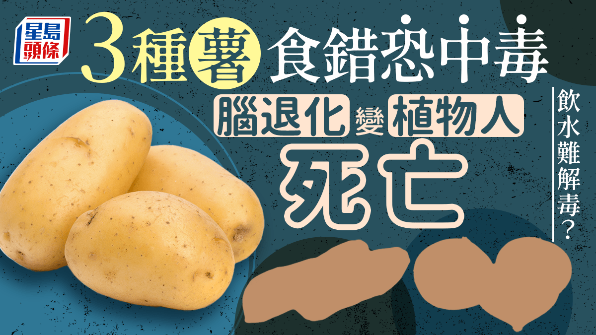 薯仔禁忌|食錯3種薯恐腦退化變植物人?醫生揭易中毒致命食法