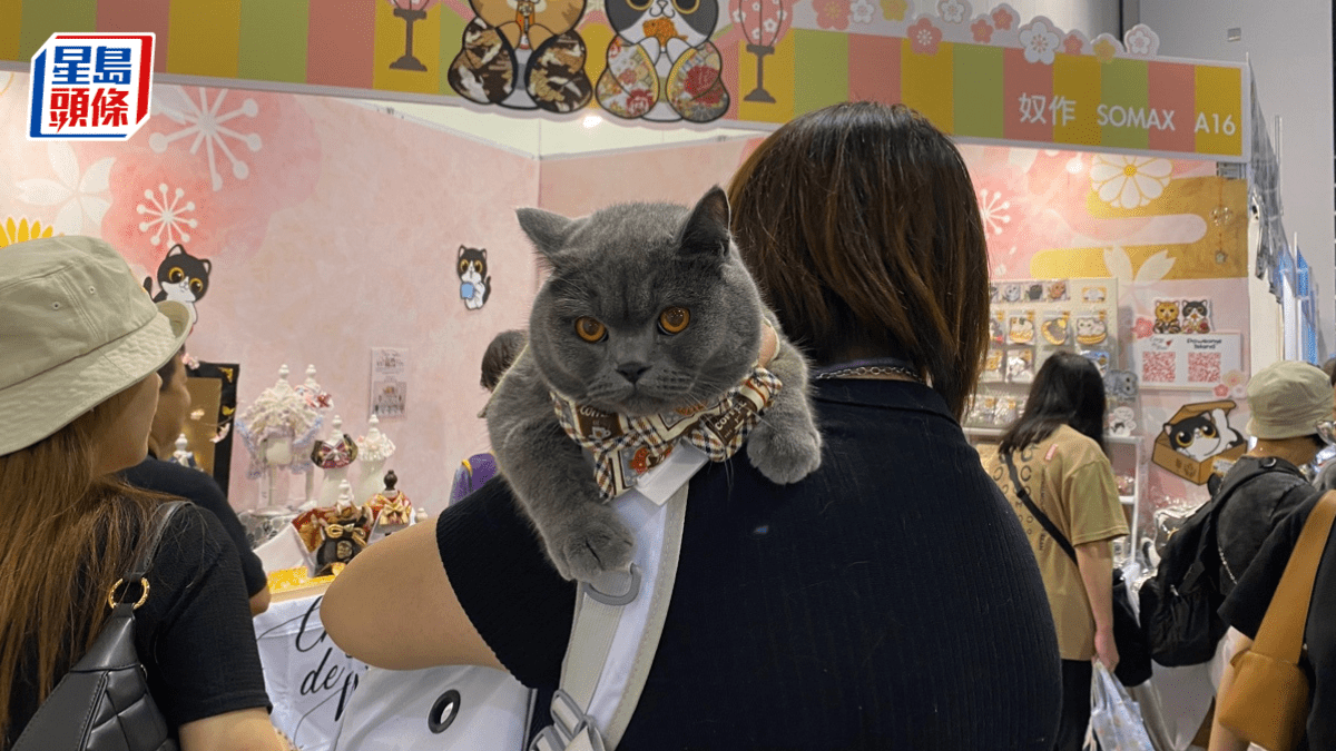 香港首屆貓迷博覽會開幕 參展商指人流多 人均消費逾600元