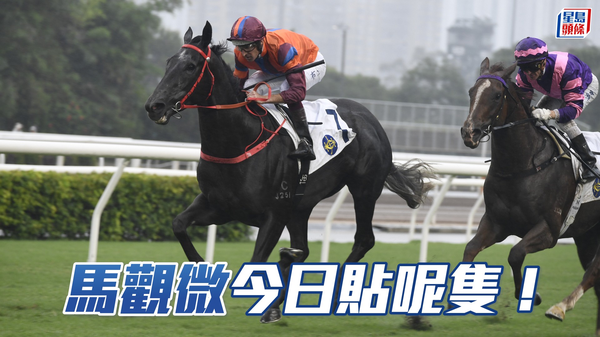 馬觀微全日心水│「以戰常勝」質素非凡