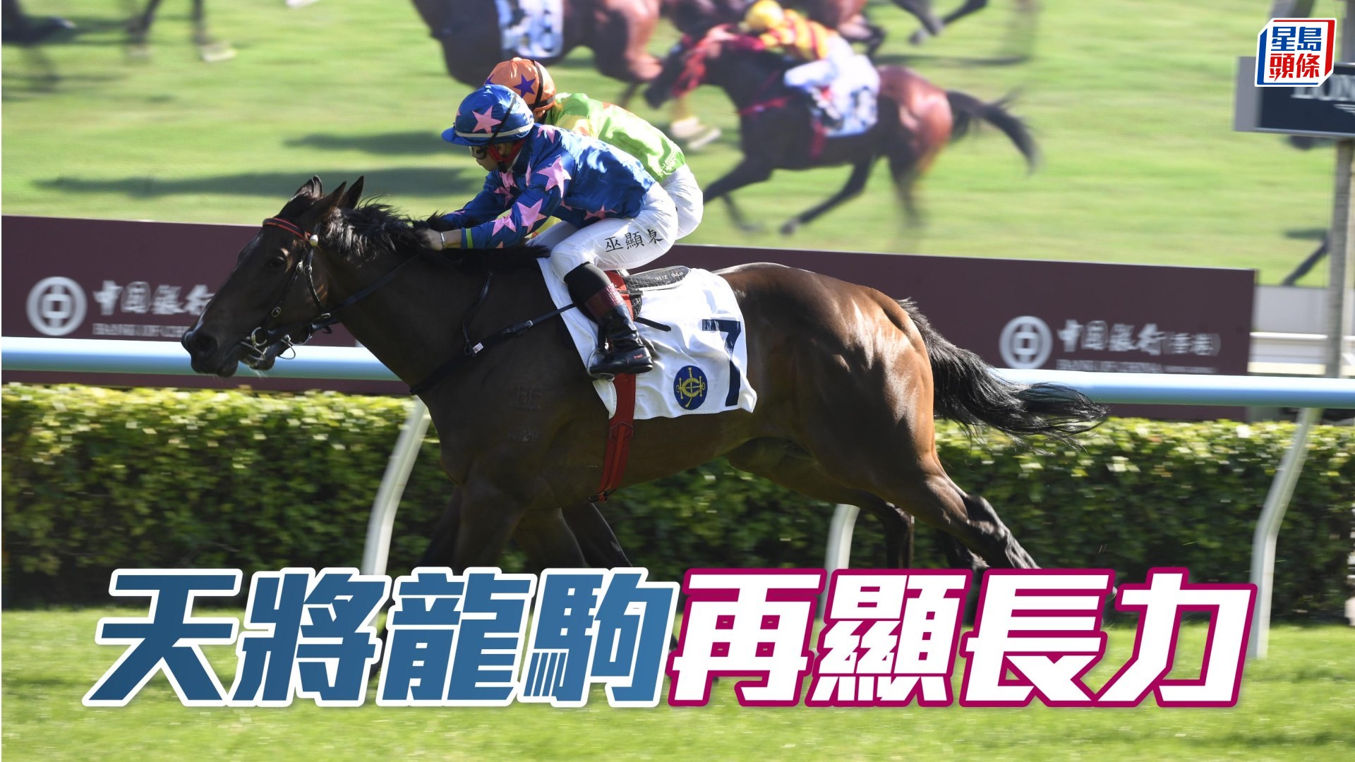 廖事如神│「天將龍駒」再顯長力