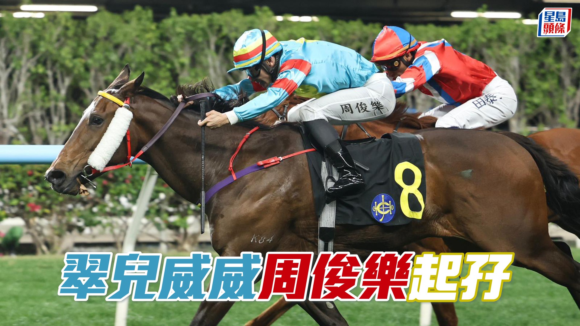 馬場密探048|「翠兒威威」周俊樂起孖