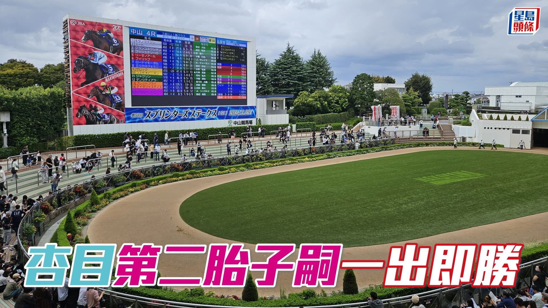 馬場浮世繪｜「杏目」第二胎子嗣一出即勝