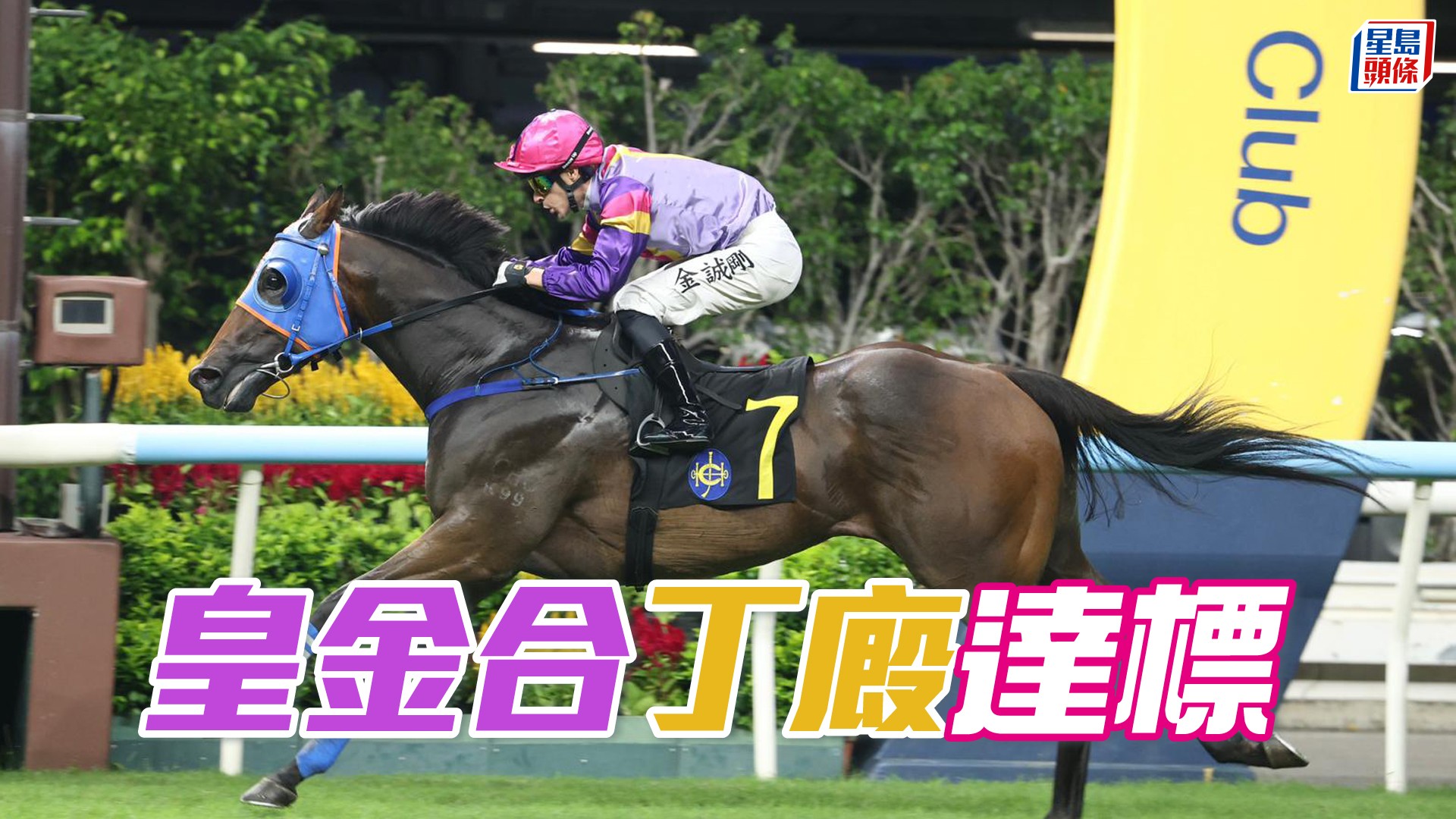 馬場密探048｜「皇金合」丁廄達標