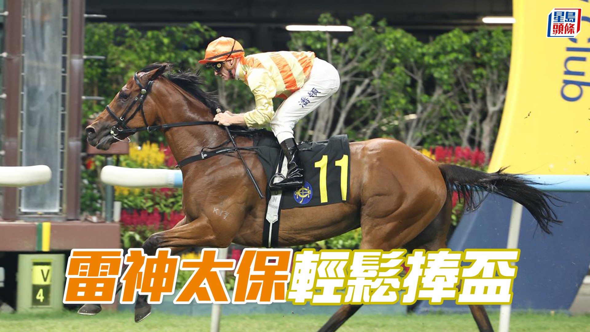 馬場密探048｜「雷神太保」輕鬆捧盃