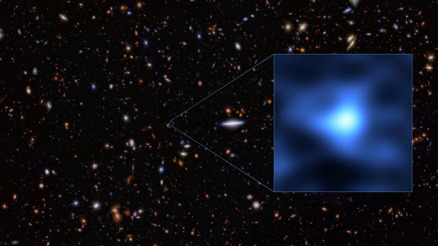 星雲天目盃 IC417》 - 巡星客