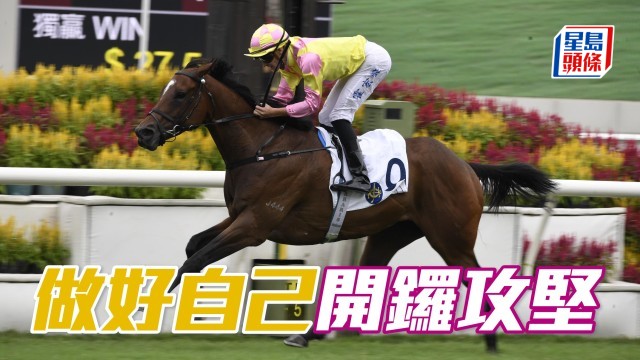 波仔至醒靈活玩│「做好自己」繼續攻堅