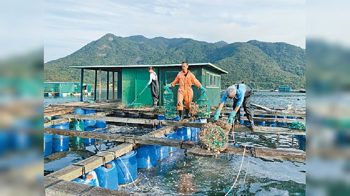 ■機場管理局成立漁業提升基金，全力支持本地漁業可持續發展。