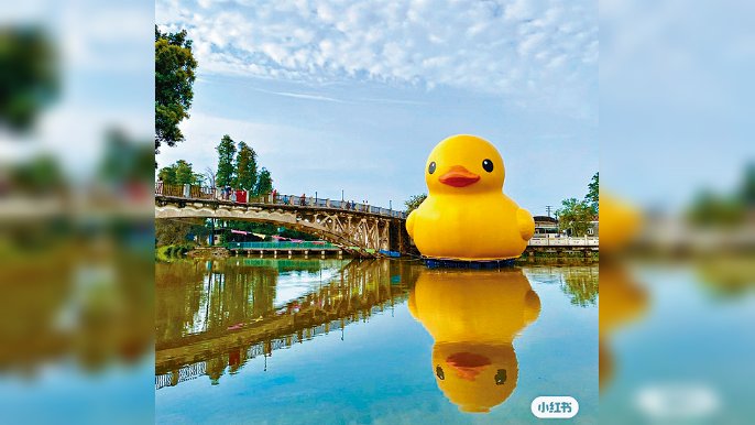 「大黃鴨」於中山獅滘河展出。