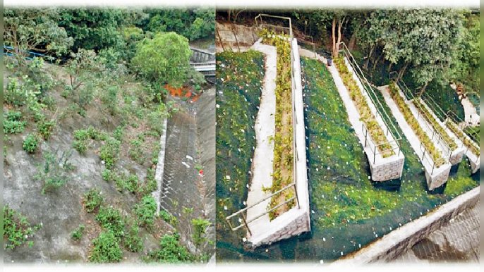 ■九龍副水塘水壩旁斜坡工程前後變化，左為工程前，右為工程後。
