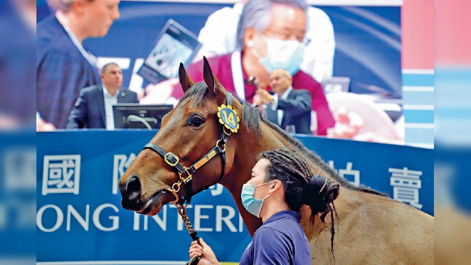 ﻿■賽馬活動要更上層樓，按理應全面做好賽馬生態鏈，即育馬、訓練、買賣、參賽。