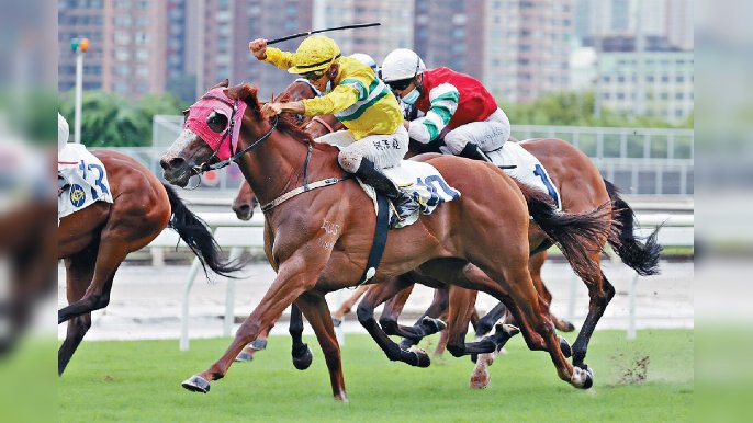 ■天氣不似預期，好的賽馬策略也未必能取勝。