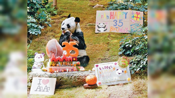 ■海洋公園為安安準備冰蛋糕慶祝生日。
