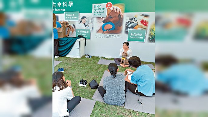 ■香港專業教育學院將於下學年開設「寵物護理及保健高級文憑」課程。
