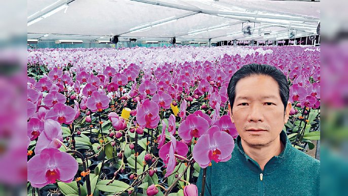 ■楊小龍稱，對政府一時停搞年宵一時又重辦，感到無所適從。
