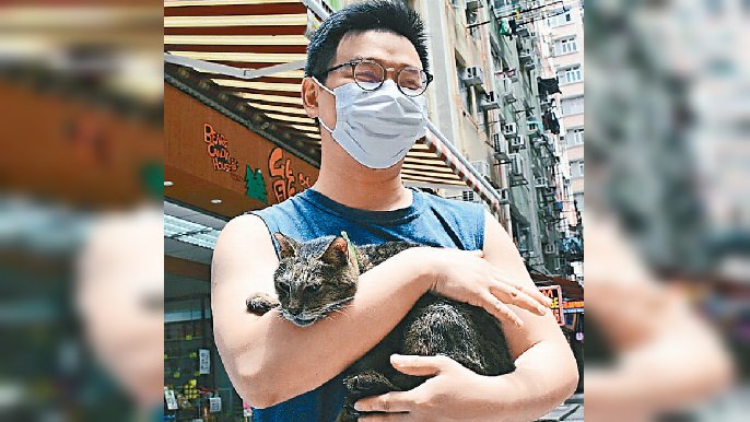 ■貓主杜先生尋回「哥哥」後重拾笑容。
