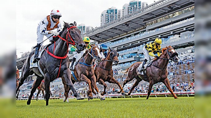 ■哪些字會是香港馬名常用字？