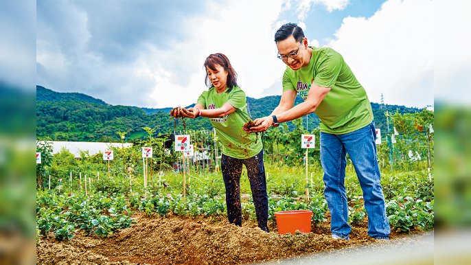 7-Eleven將收集到嘅咖啡渣給予本地慈善有機農莊轉化成有機肥料。