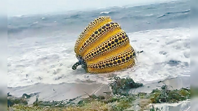 ■颱風「盧碧」吹襲日本其間，將香川縣直島町「波點女王」嘅大作吹咗落海！