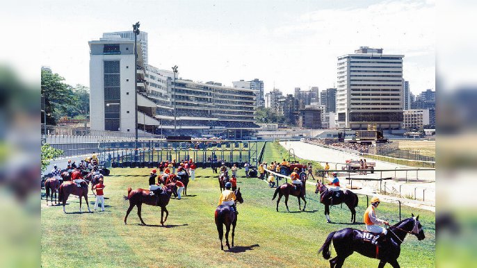 ﻿■1971年香港賽馬職業化。