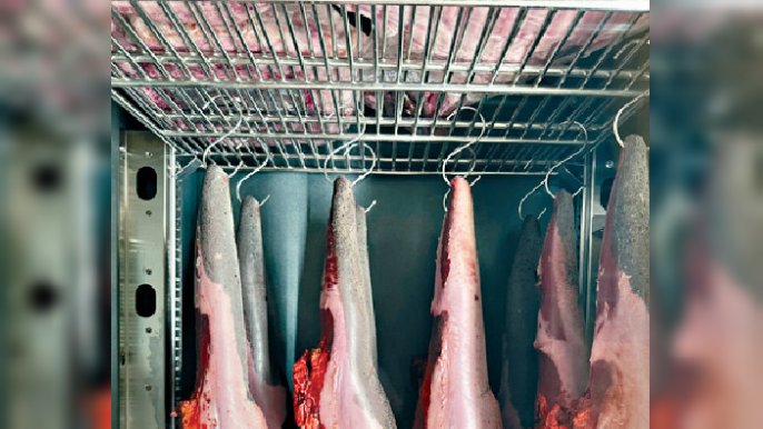 ■燒肉店的雪櫃展示陳化肉品。
