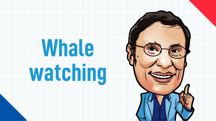 又中又英｜Whale watchinIg