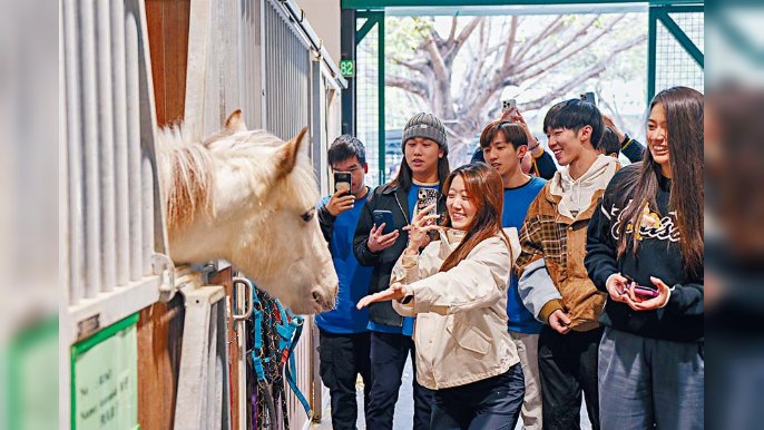 新一屆JSR學員早前到訪馬會屯門公眾騎術學校，與馬匹近距離接觸。