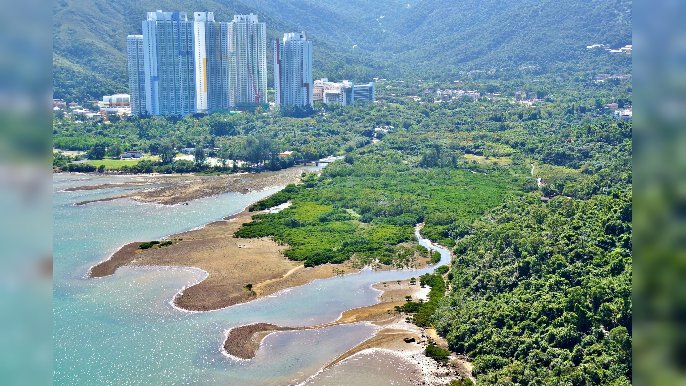 ■「賞‧識東涌河」於上月踏入第二階段，研究東涌河流域恒常生態資源及監察水質。由綠色力量提供