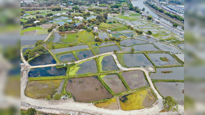 ■塱原自然生態公園將分為三個區域，包括「生態區」、「農業區」及「訪客區」。 發展局圖片
