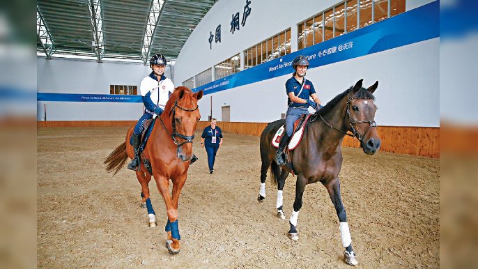 ■馬會馬術隊騎手及馬匹早前已陸續抵達杭州桐廬馬術中心，備戰今日開始的亞運會馬術賽事。