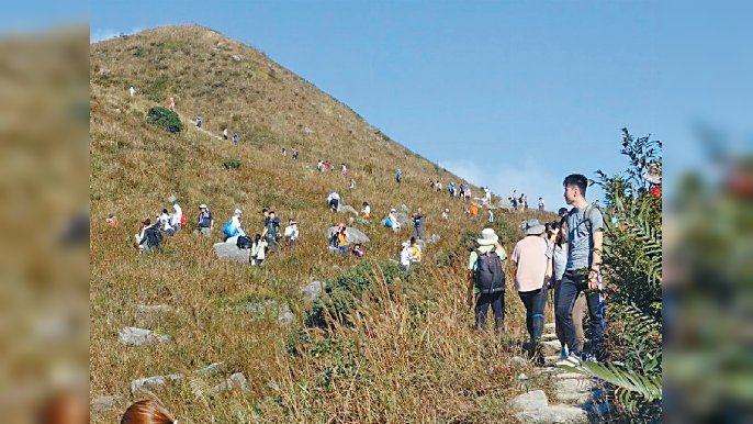 ■眾多市民上大東山賞芒草。
