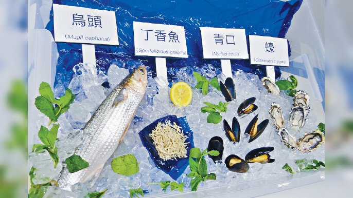 ■微膠珠最後會排入大海，被海洋生物食咗。資料圖片
